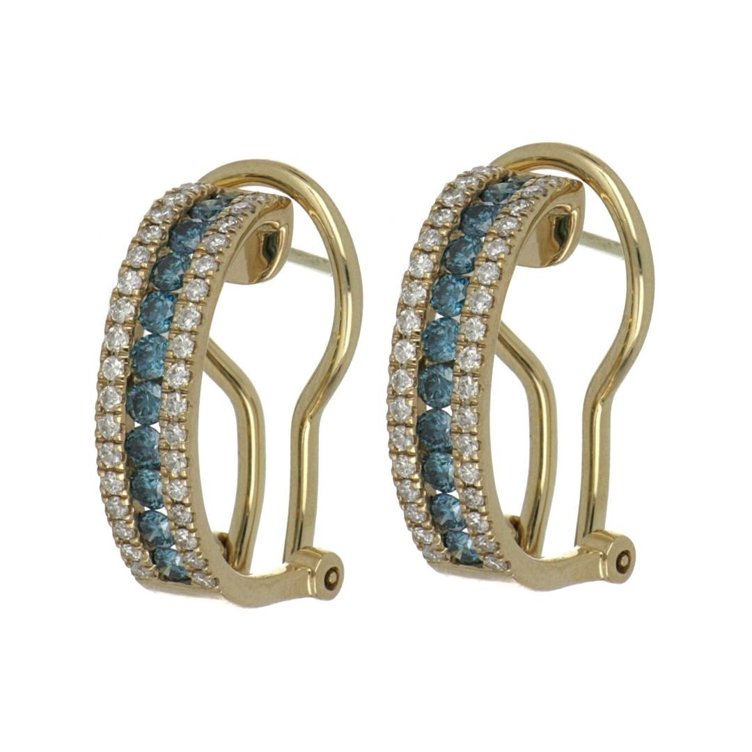 Blue Diamond Earrings (Blue Diamond 0.64 cts. White Diamond 0.36 cts.) Not Net