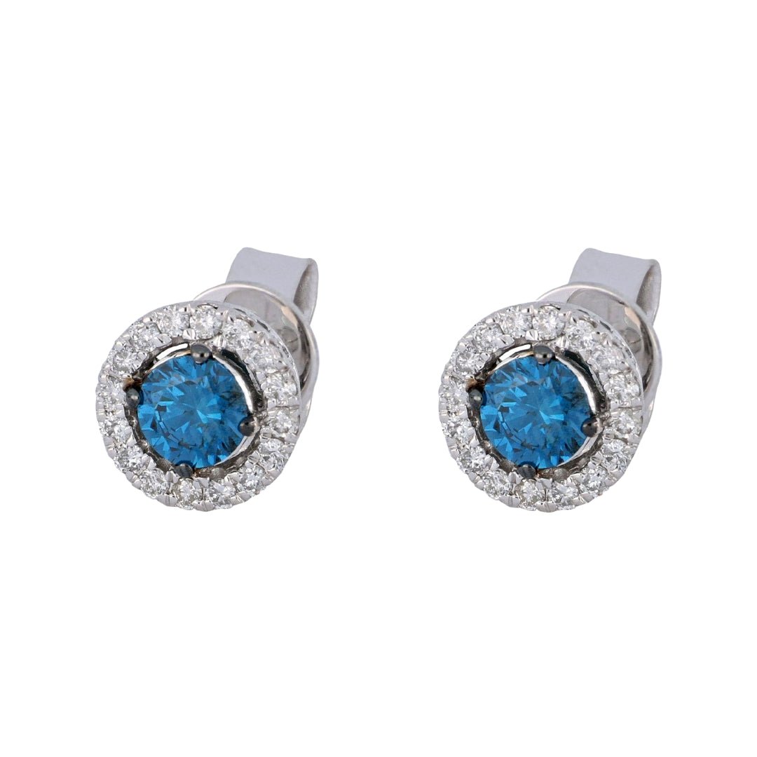 Blue Diamond Earrings (Blue Diamond 0.77 cts. White Diamond 0.31 cts.) Not Net
