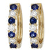Blue Sapphire Earrings (Blue Sapphire 0.51 cts. White Diamond 0.3 cts.) Not Net