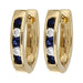 Blue Sapphire Earrings (Blue Sapphire 0.78 cts. White Diamond 0.34 cts.) Not Net