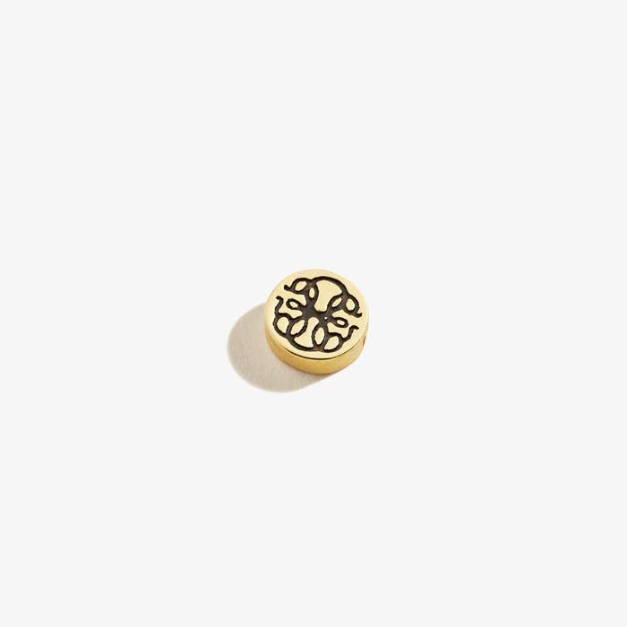 ALEX AND ANI Create Your Own - Path of Life Slider Charm
