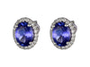 Tanzanite Ladies Earrings (Tanzanite 3.07 cts. White Diamond 0.34 cts.) Not Net