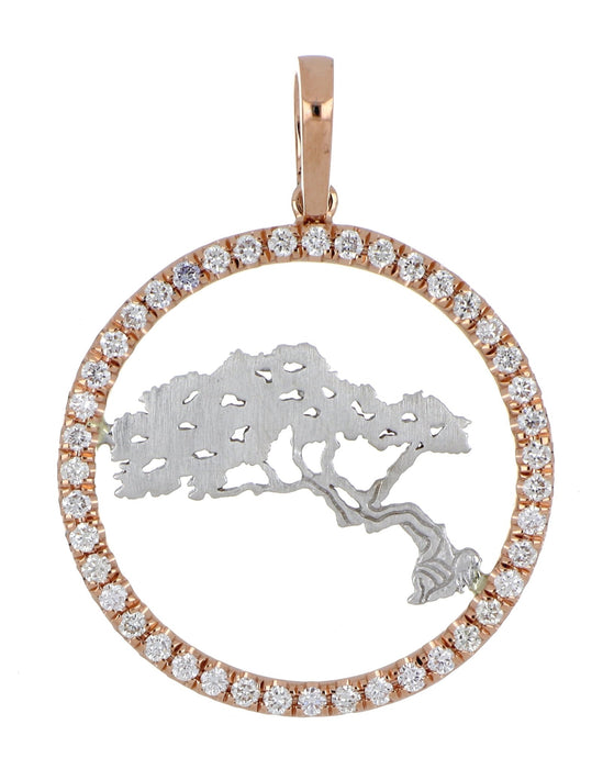 ARUBA DIVI Pendant at Kay's Fine Jewelry