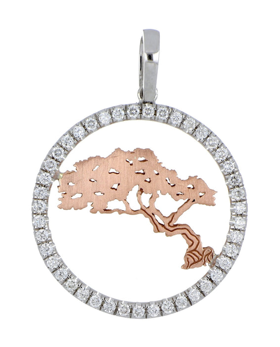 ARUBA DIVI Pendant at Kay's Fine Jewelry